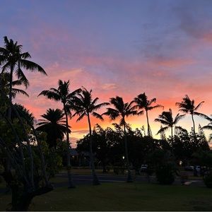 Meet your Posher, Lizzie